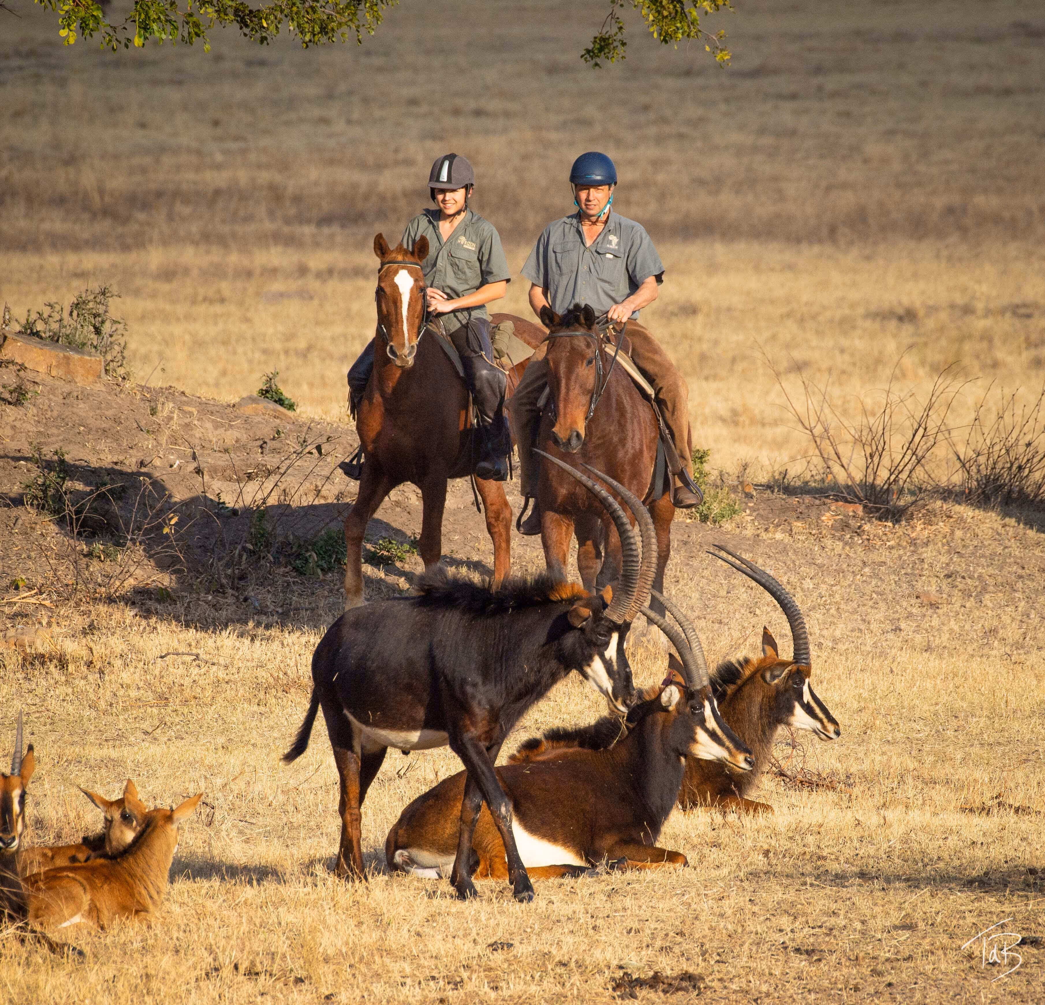 horse riding holiday