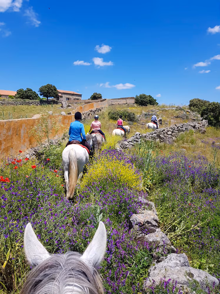 horse riding holiday