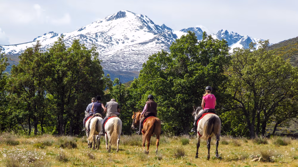horse riding holiday