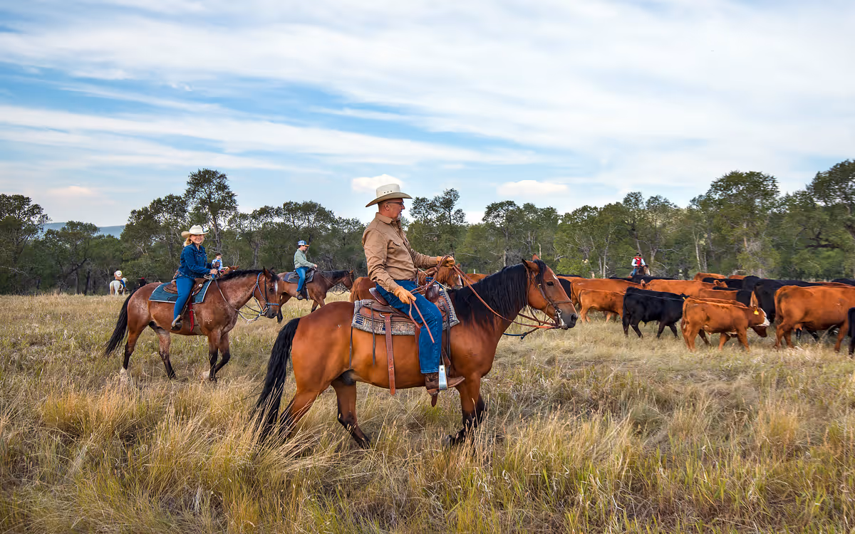 horse riding holiday