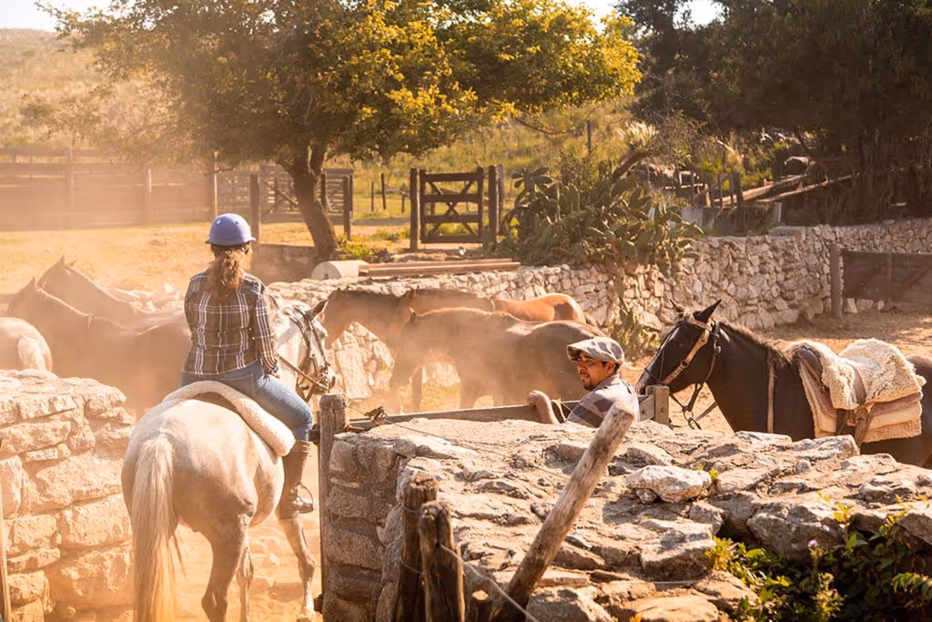 horse riding holiday