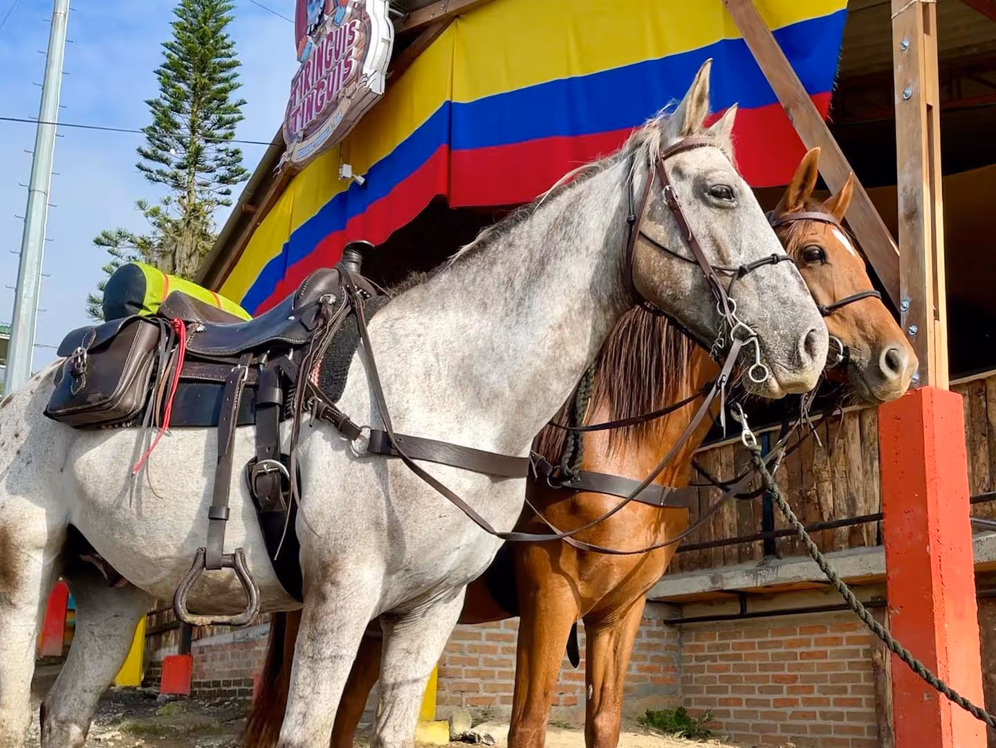 horse riding holiday