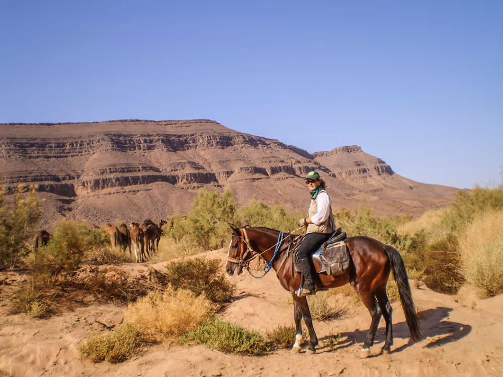 horse riding holiday