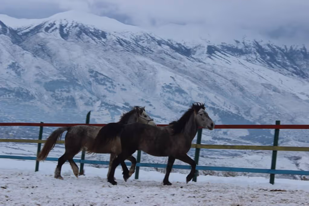 horse riding holiday
