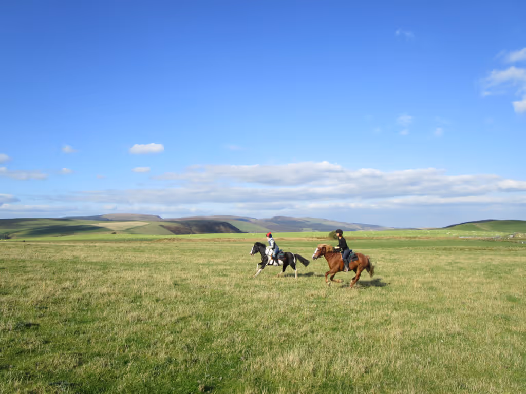 horse riding holiday