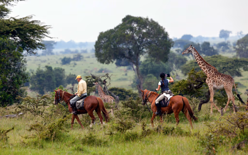 horse riding holiday