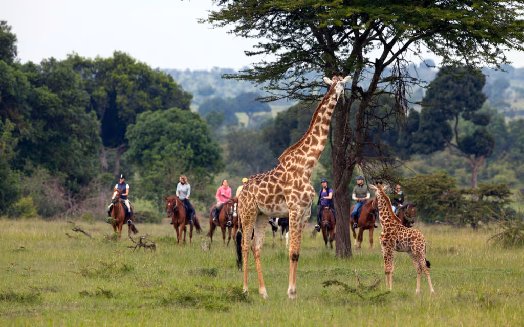 horse riding holiday
