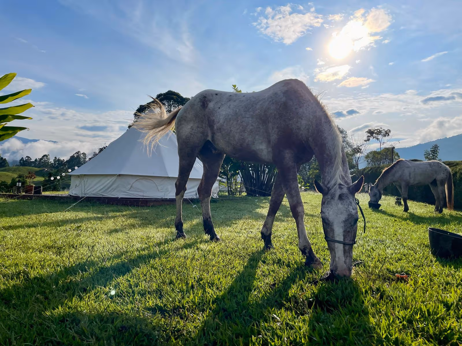 horse riding holiday