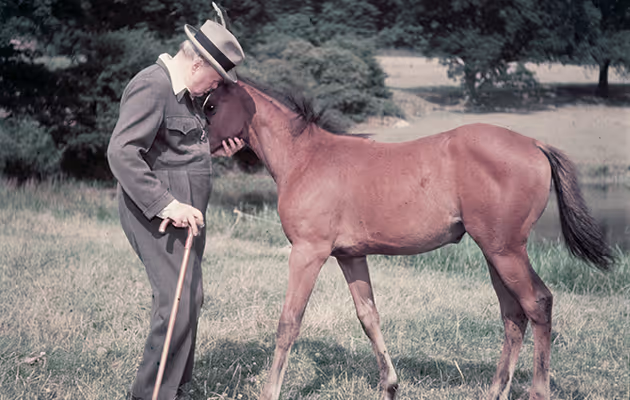 horse riding holiday