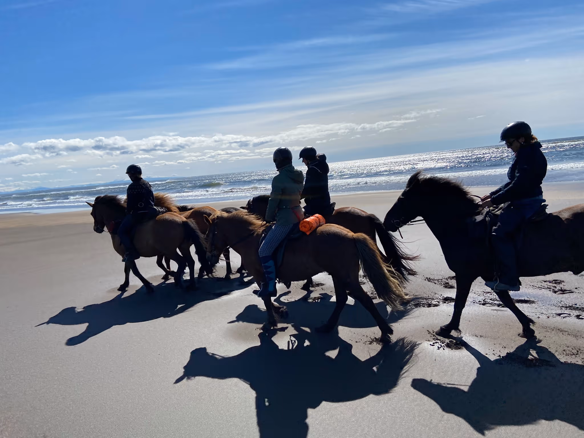 Iceland Trails- Horse riding holidays