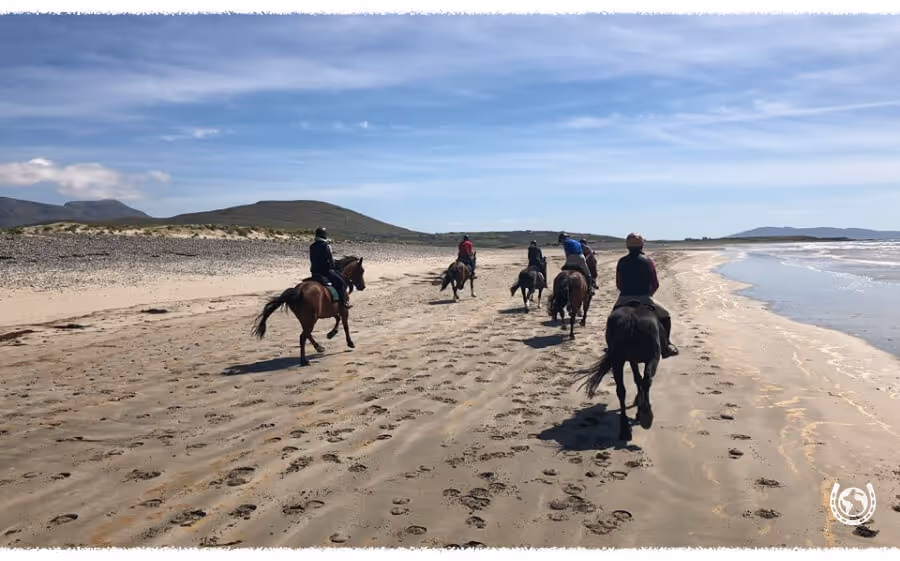 Horse riding holiday