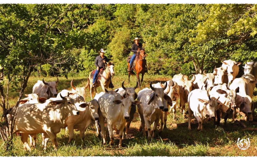 horse riding holiday