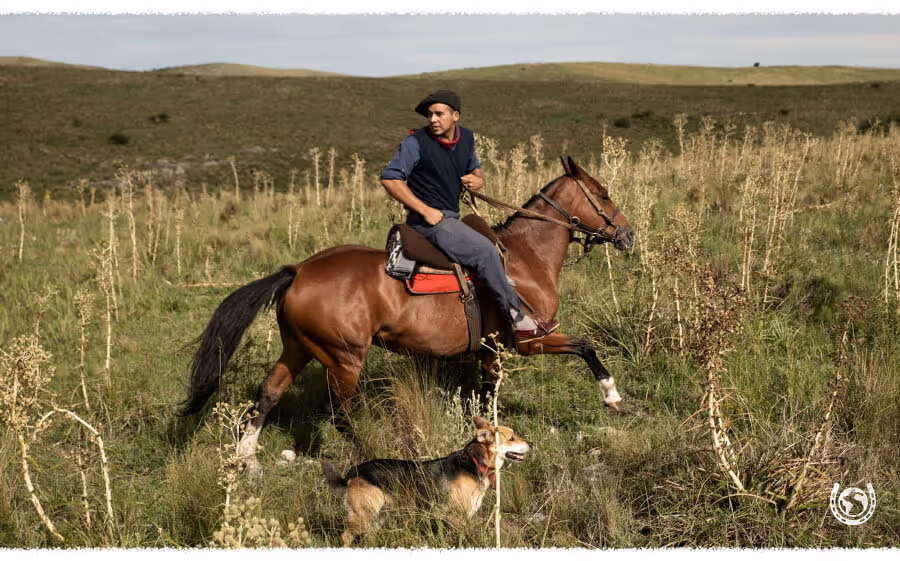 horse riding holiday