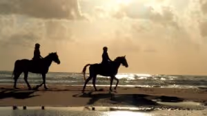 horse riding holiday