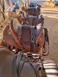 horse riding holiday