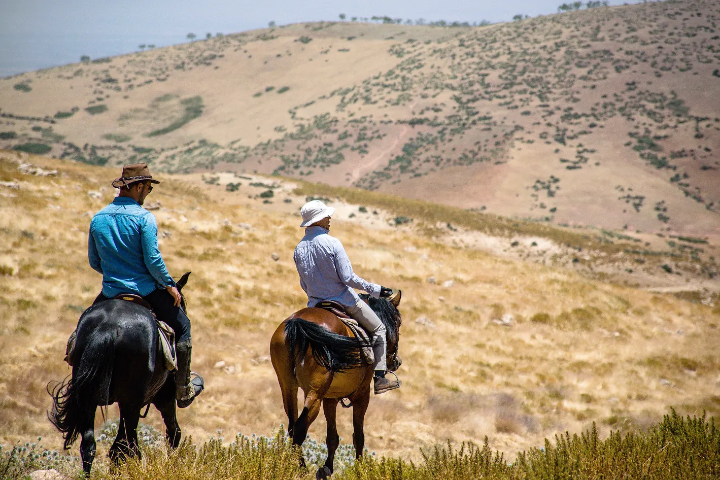 A local trail guide and a male guest on horseback riding across a grassy field toward distant rolling hills.