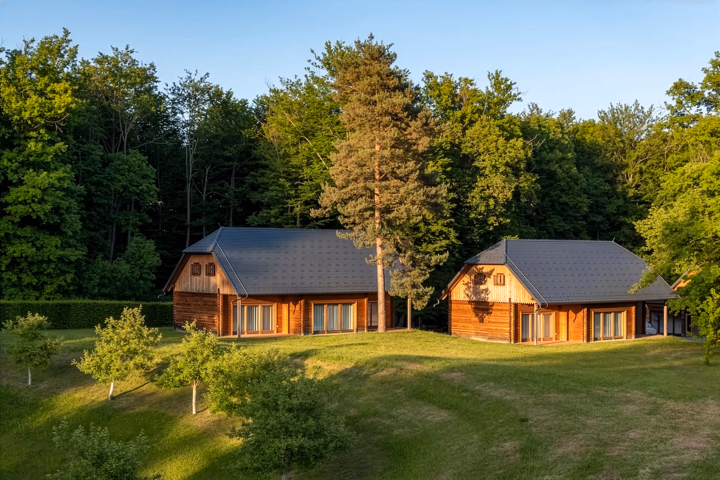 Two modern wooden huts with clean architectural lines in a forest clearing, featured on a multi-day guided horse trail tour in Slovenia.