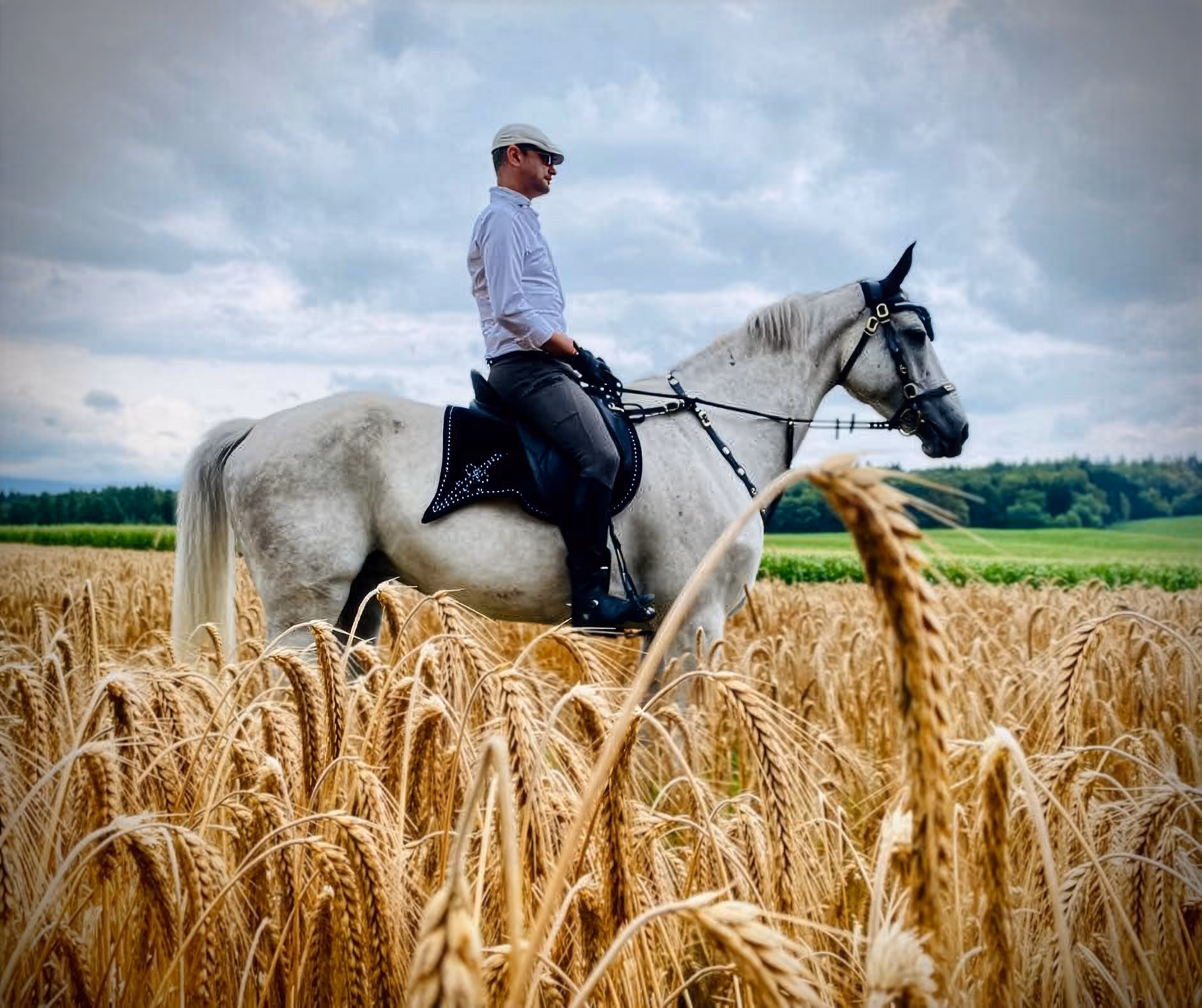 A man wearing sunglasses on horseback, standing in a golden wheat field on a cloudy day