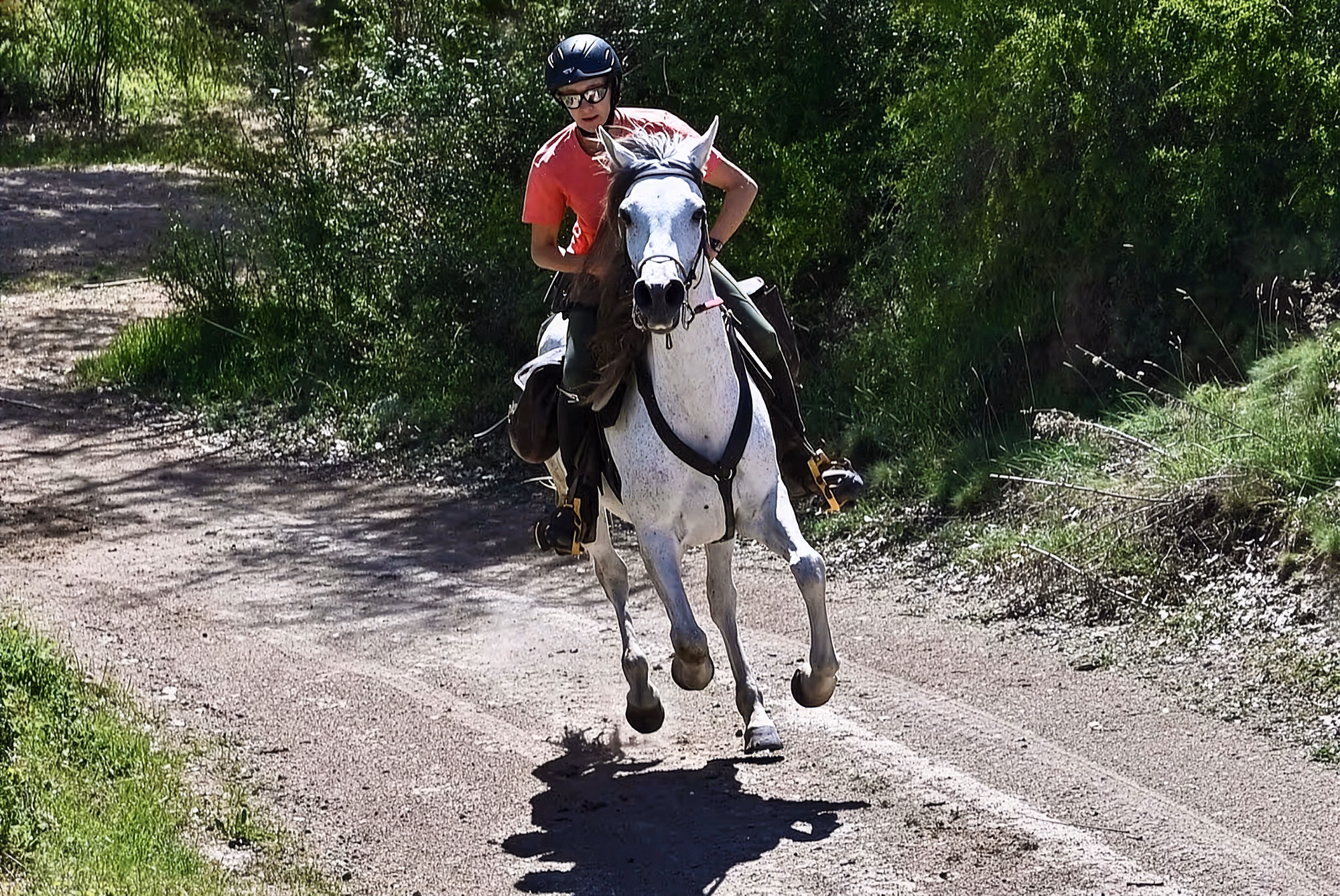 A woman galloping fast on horseback down a wide dirt road