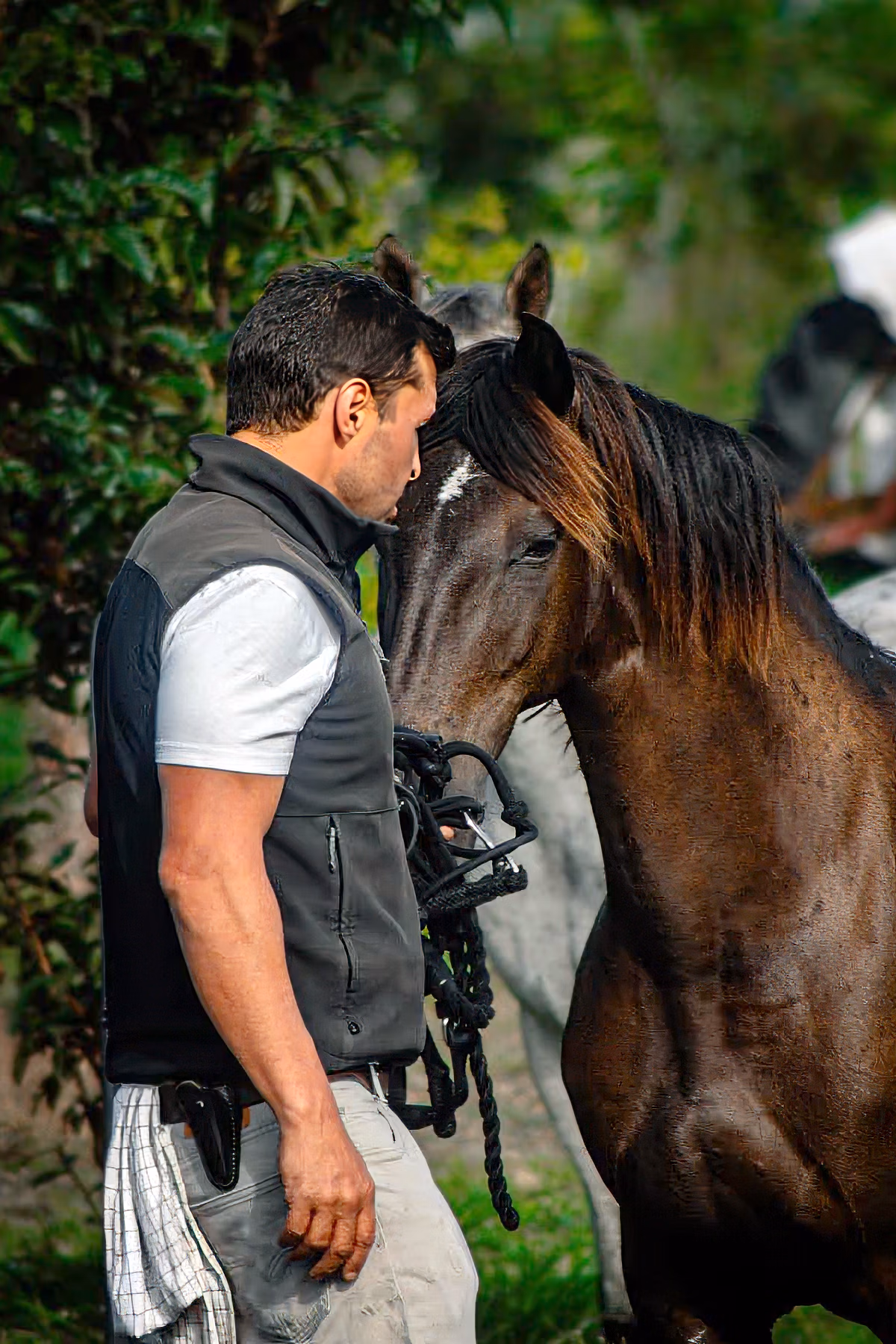 A candid shot of a horse caretaker interacting with a horse