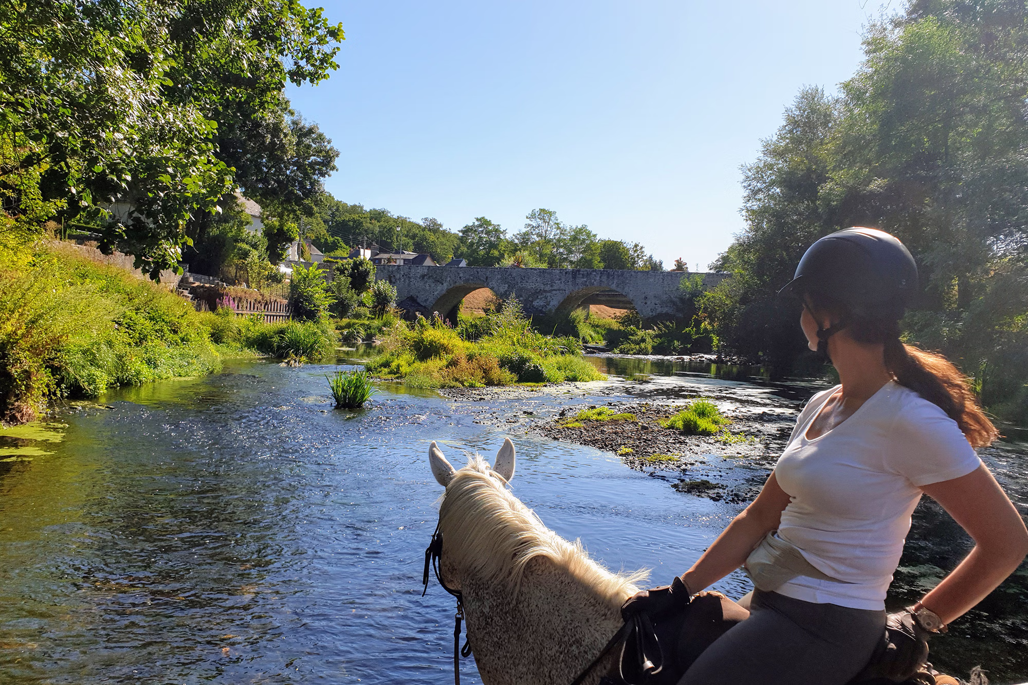Rear view of a woman sitting on her horse standing in a shallow stream