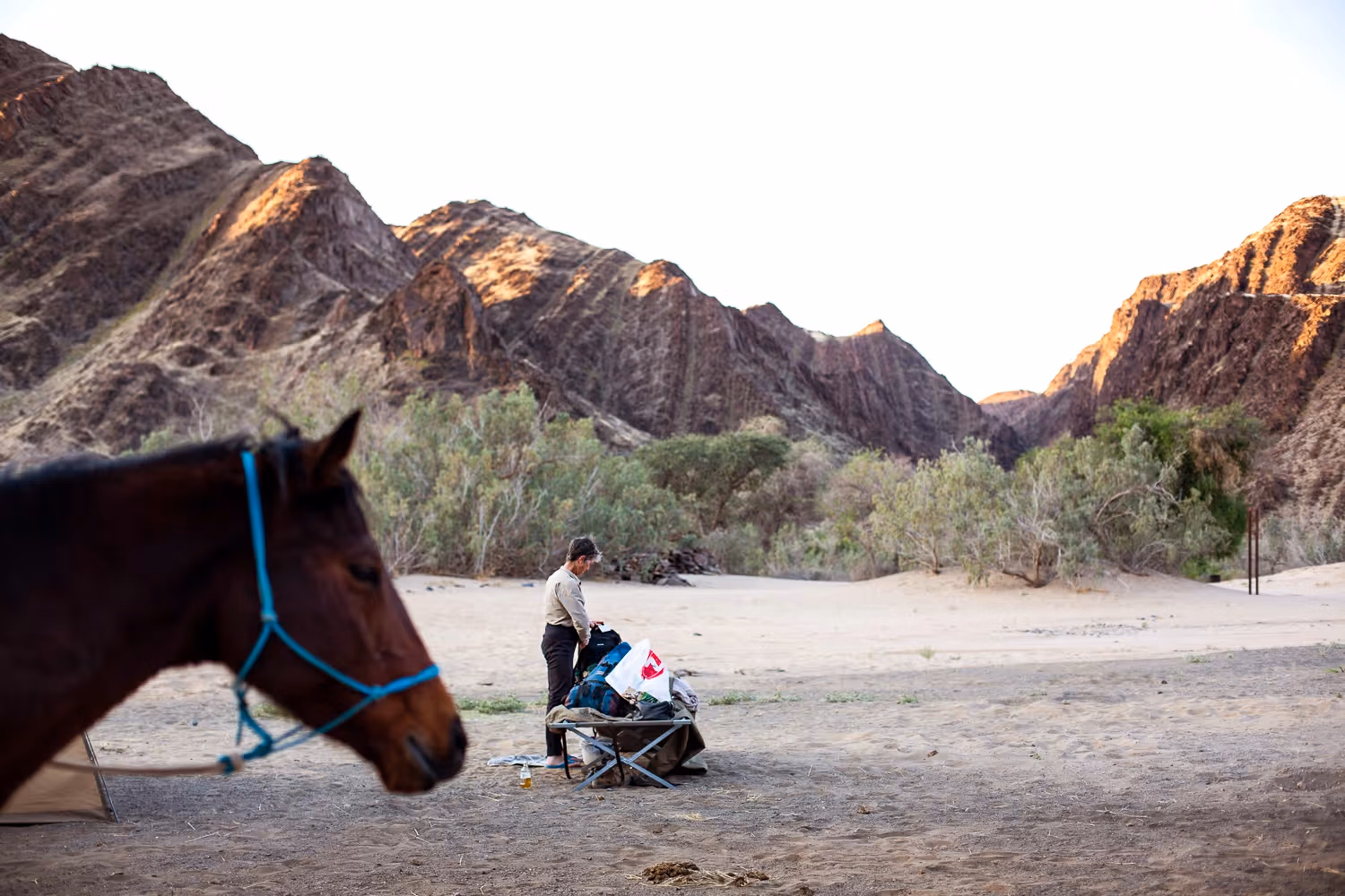 A man packing up equipment at a morning campsite with a horse's head visible in the left foreground