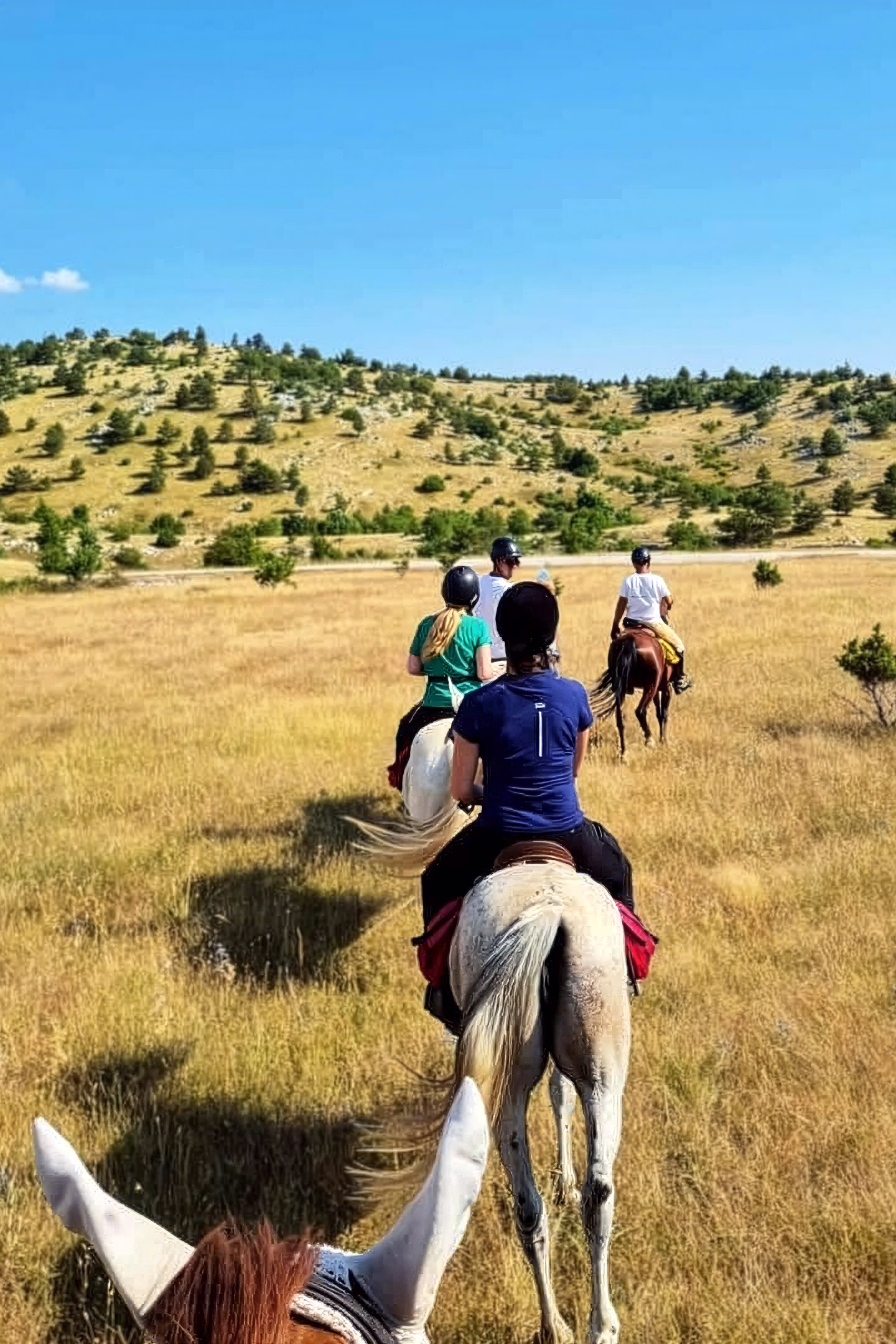 A small group of horseback riders ascending a scenic hillside trail