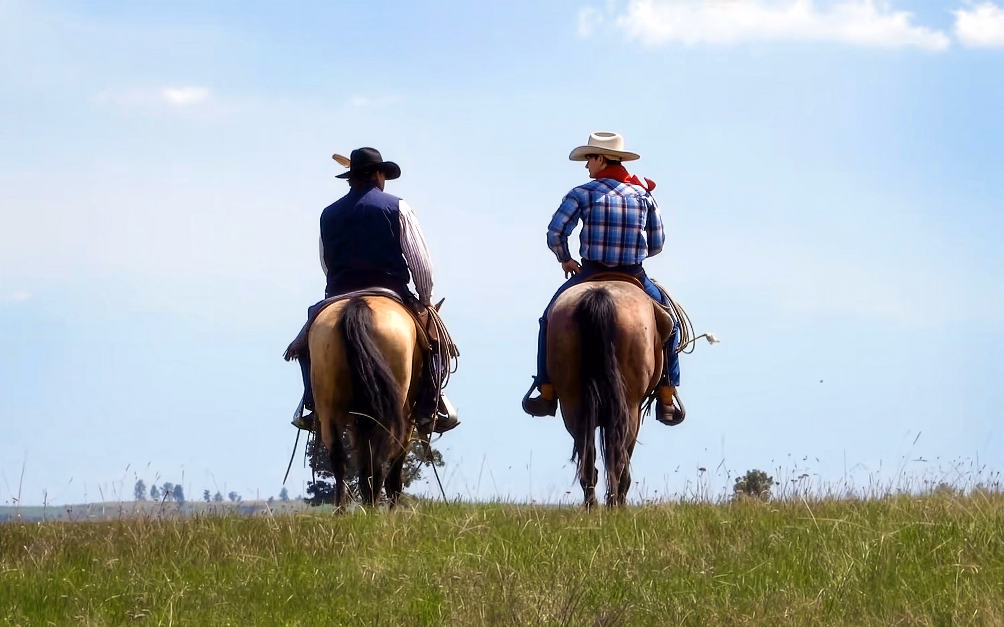 Two horseback riders wearing cowboy hats ride along the crest of a grassy hill