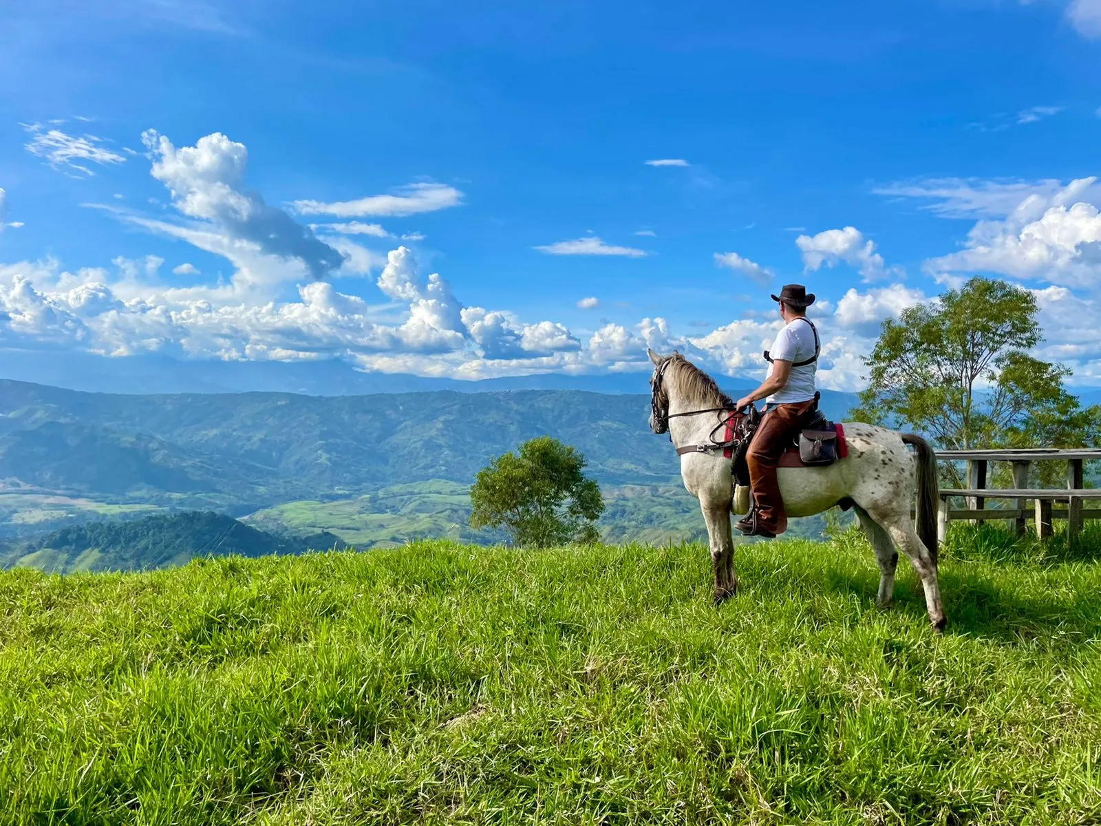 Rider and horse in a green mountain landscape on a trail ride in Colombia