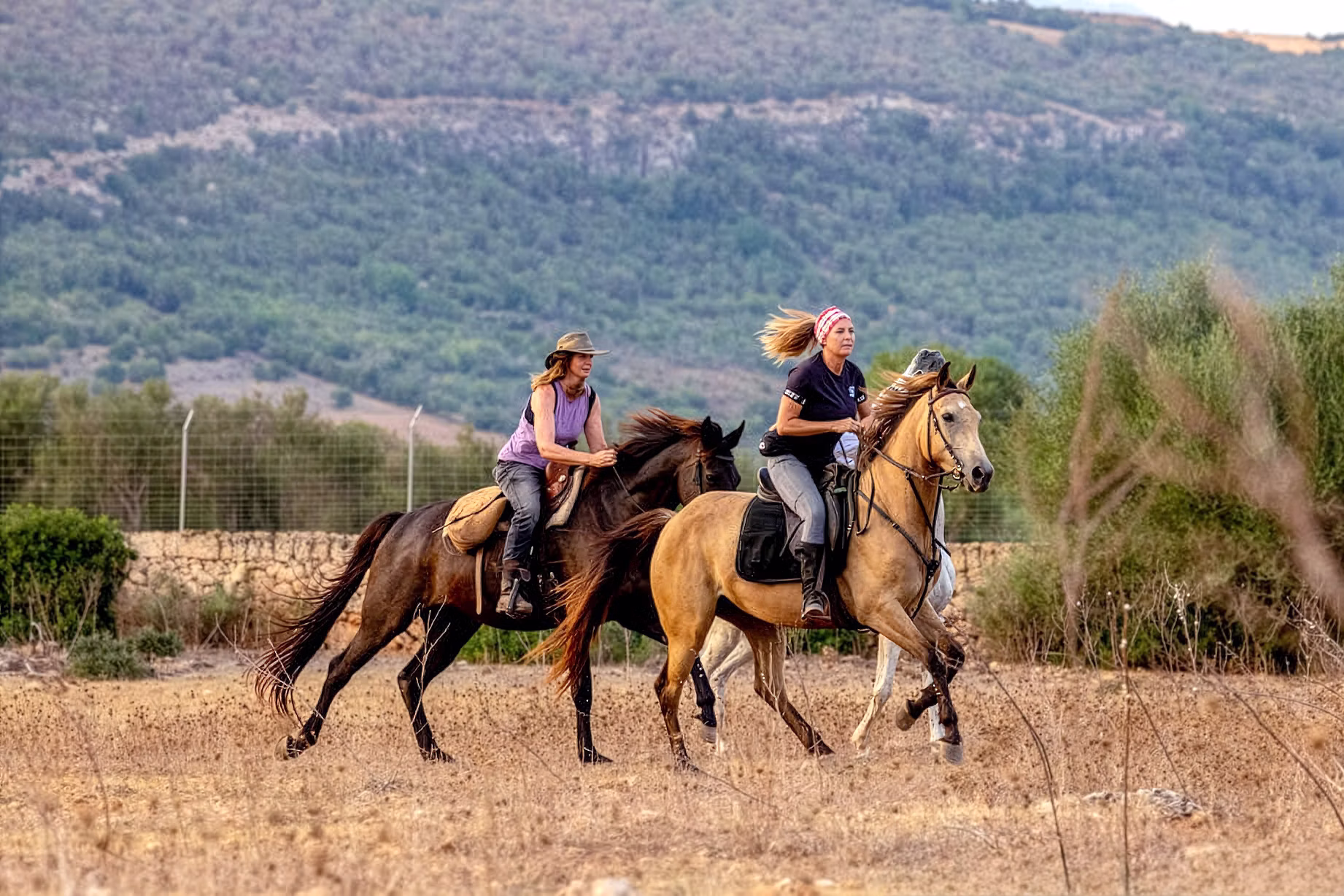 Twi riders cantering in the countryside of Menorca