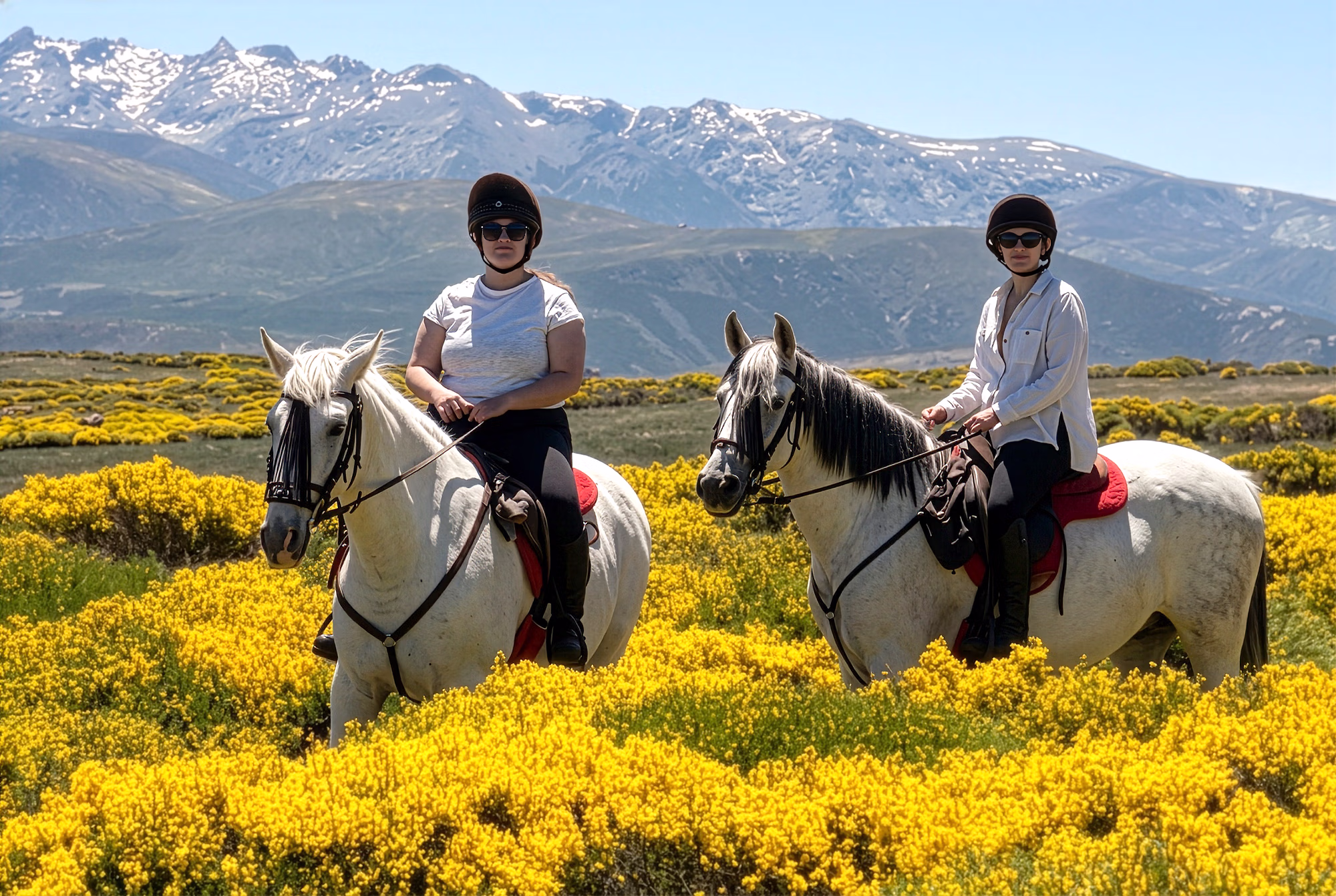 Two riders in a field of yellow flowers with mountains in the background on a trail riding holiday in Spain