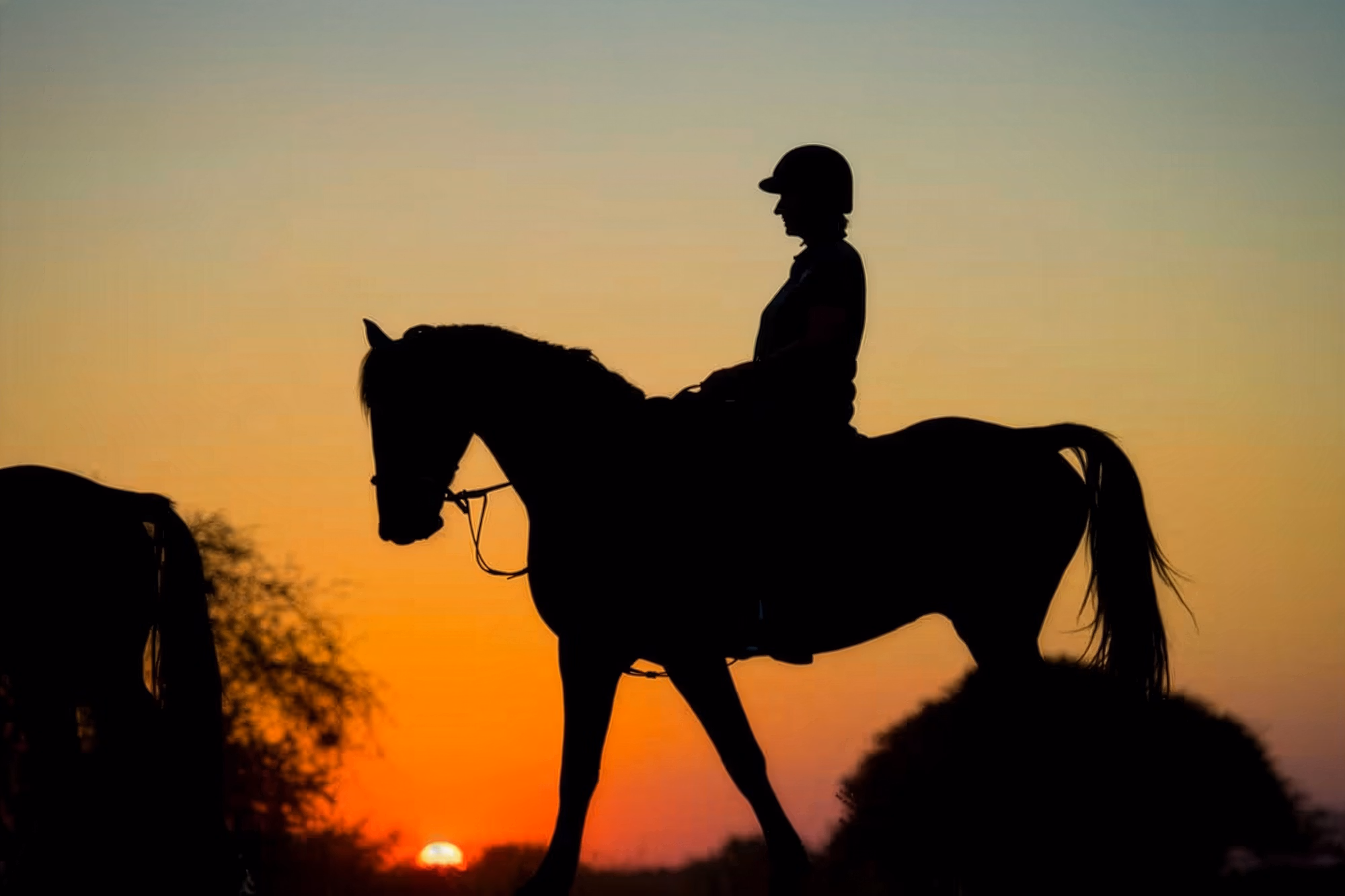A rider's silhouette, clearly showing their helmet, framed by a beautiful, deep red sunset over the horizon.