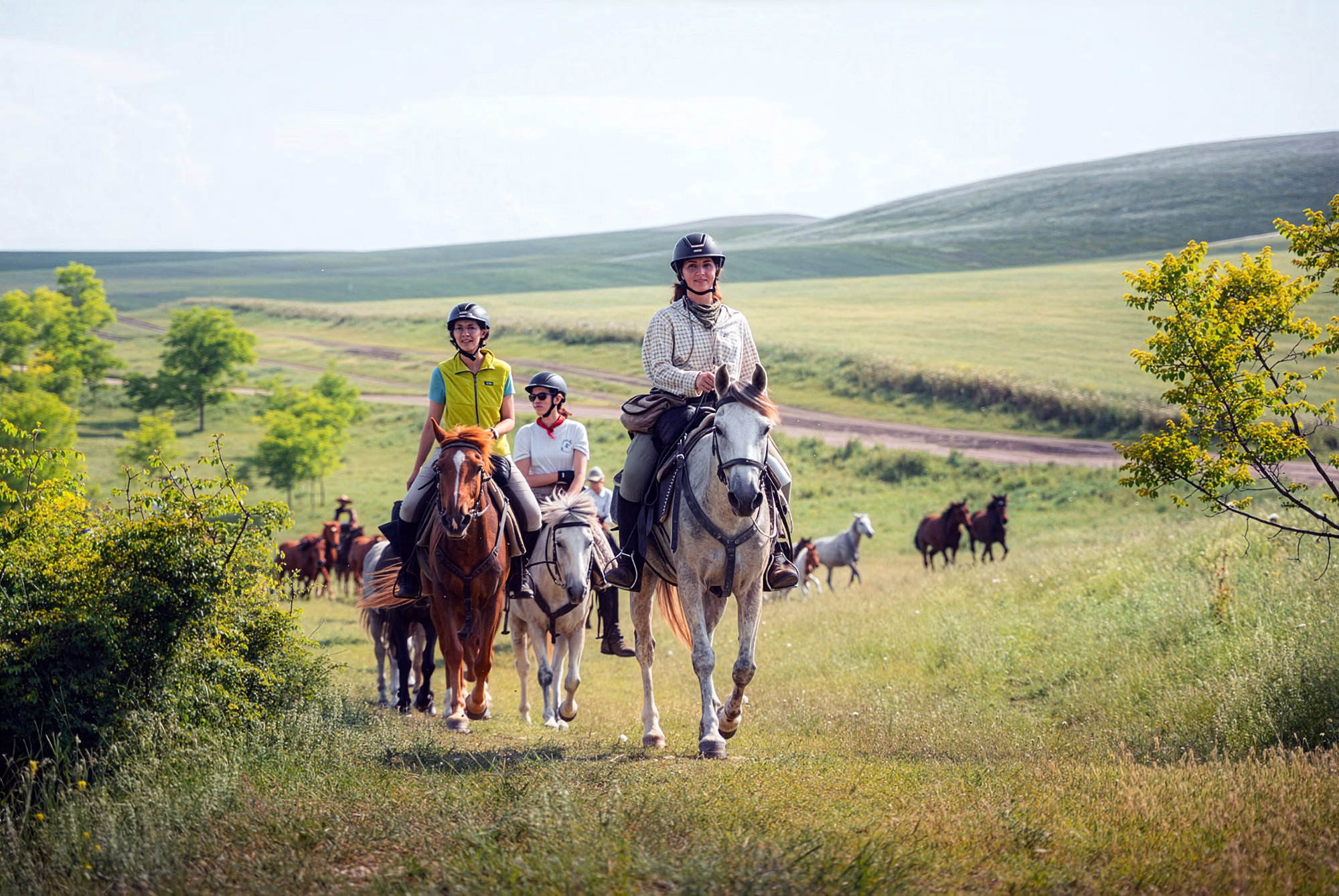 A small group of horseback riders making their way up a hill towards the camera