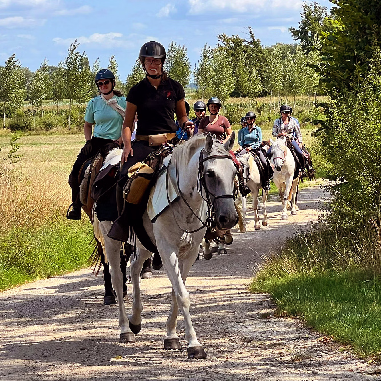 Riders and horses walking on a road by a Champagne vineyard