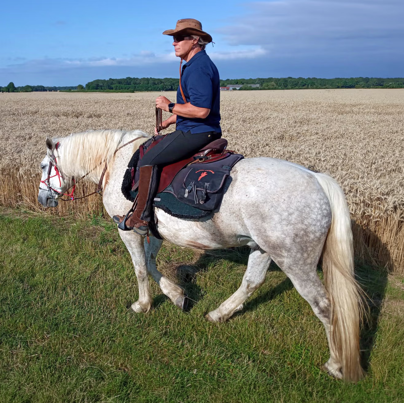 A man wearing a hat riding a horse along the edge of a scenic wheat field