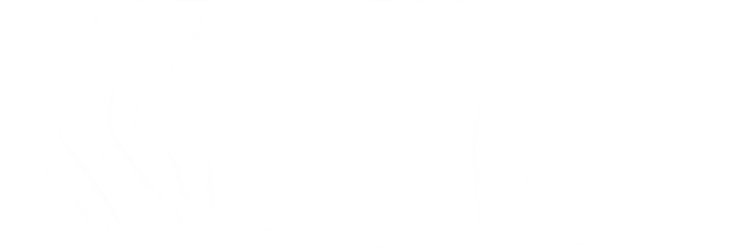 Plastic Tape Photo