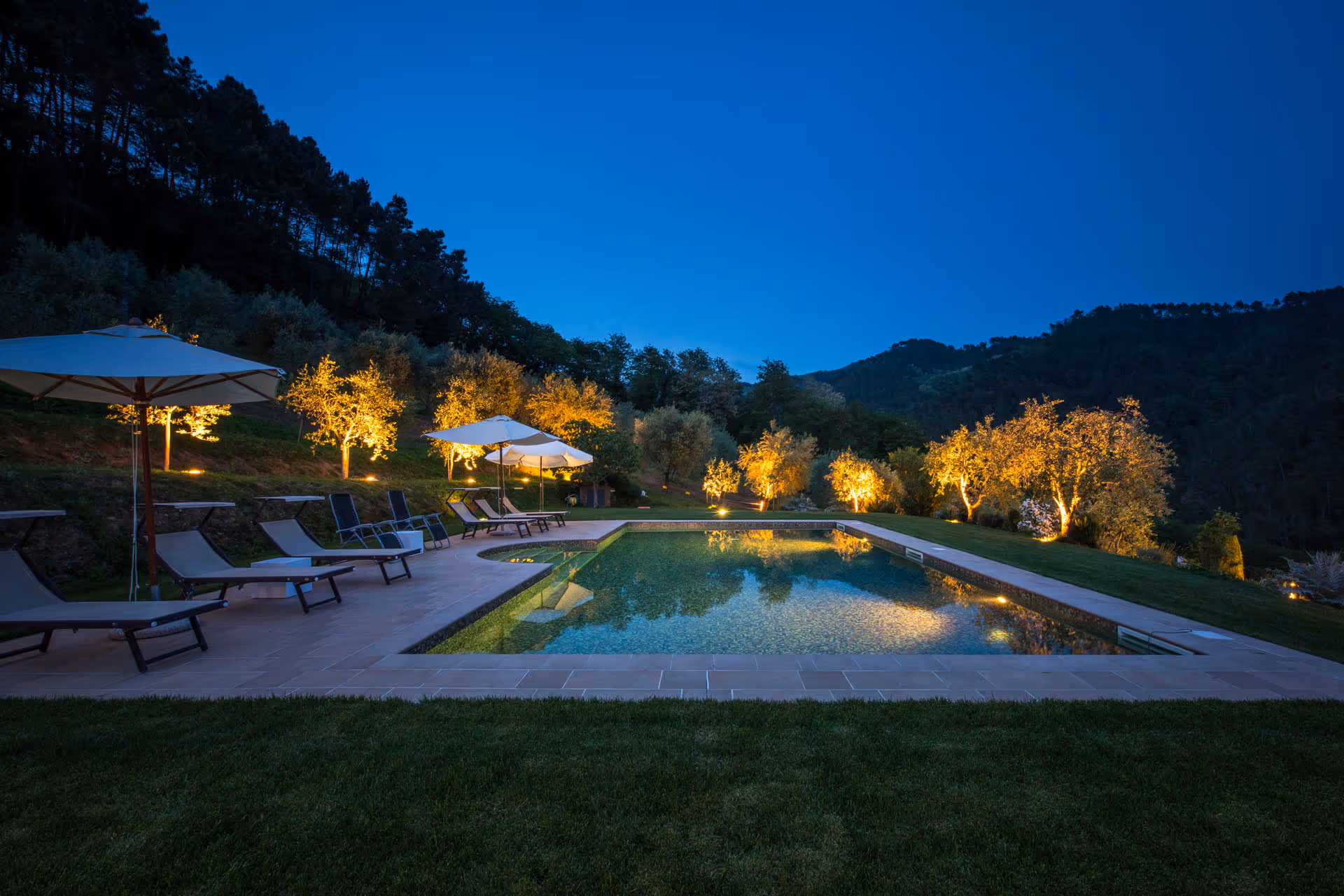 Night view of the pool lit up with surrounding trees
