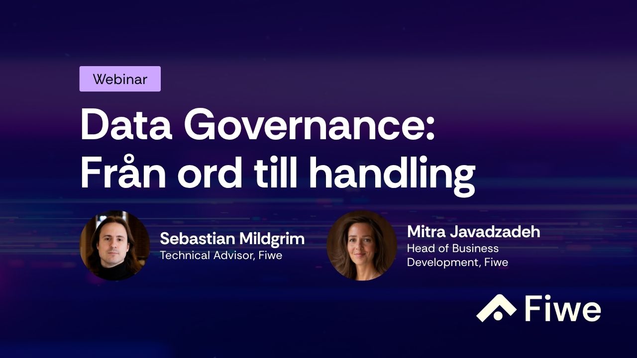 Data Governance: Från ord till handling