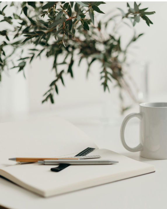 FAQ Stimmungsbild mit eher ruhigen weiß und Grüntönen. Im Hintergrund sind grüne Pflanzen. Im Vordergrund steht eine Kaffeetasse und ein Notizblock mit Stiften obendrauf.