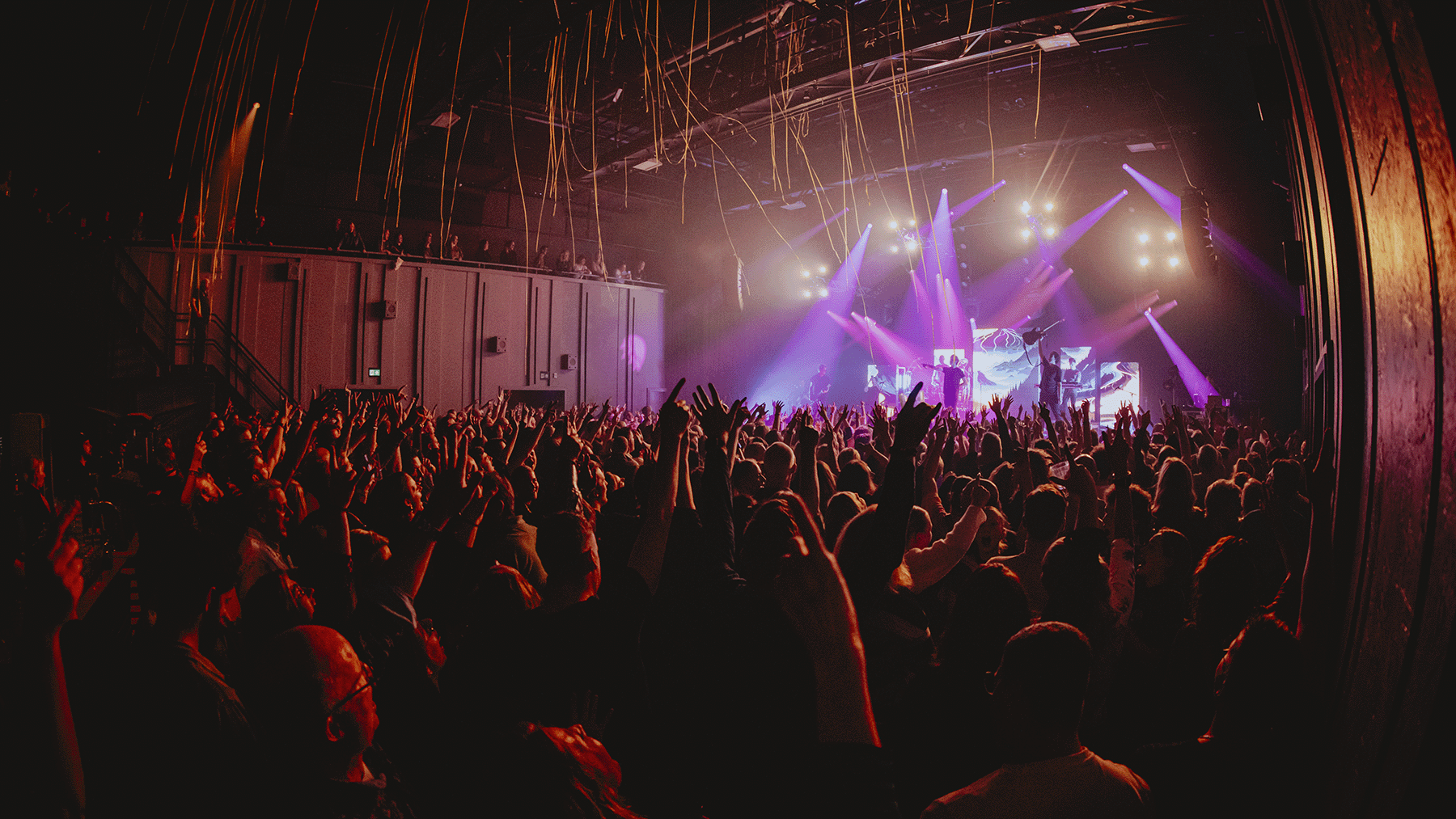 Daredevils: Zing Nederlands Met Me