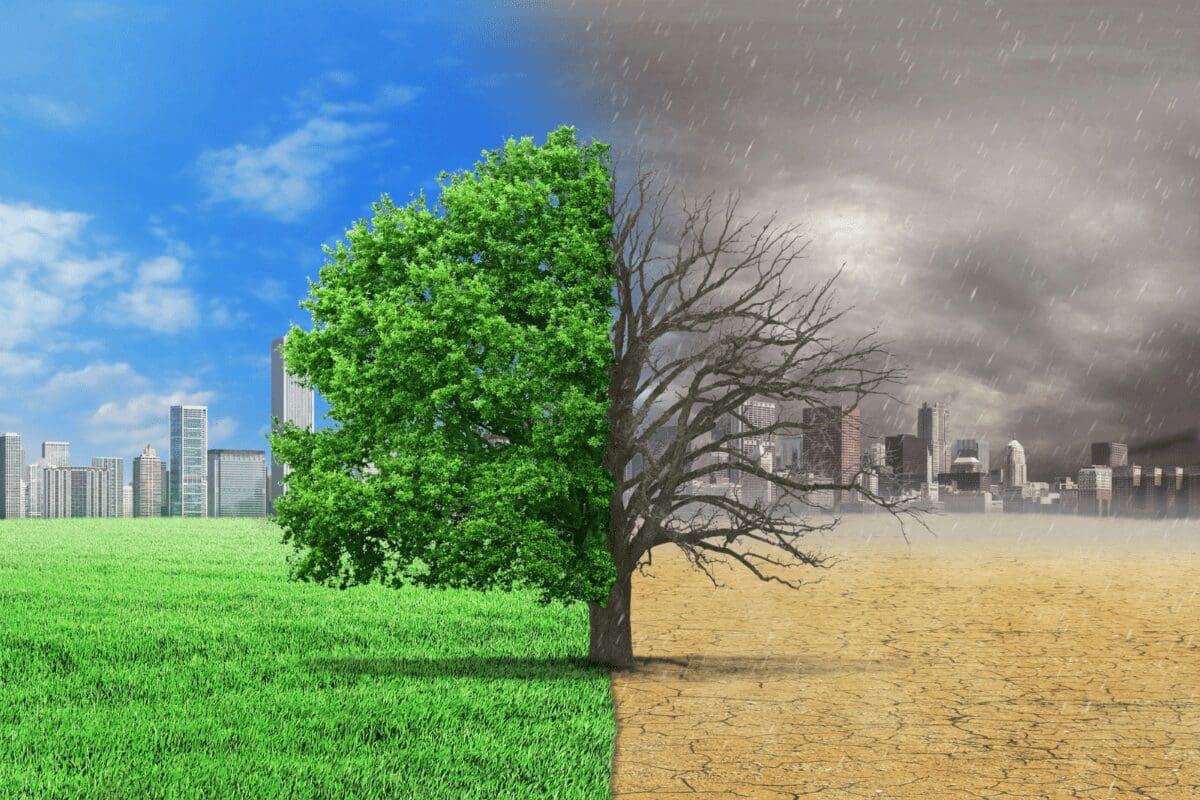Green Finance
