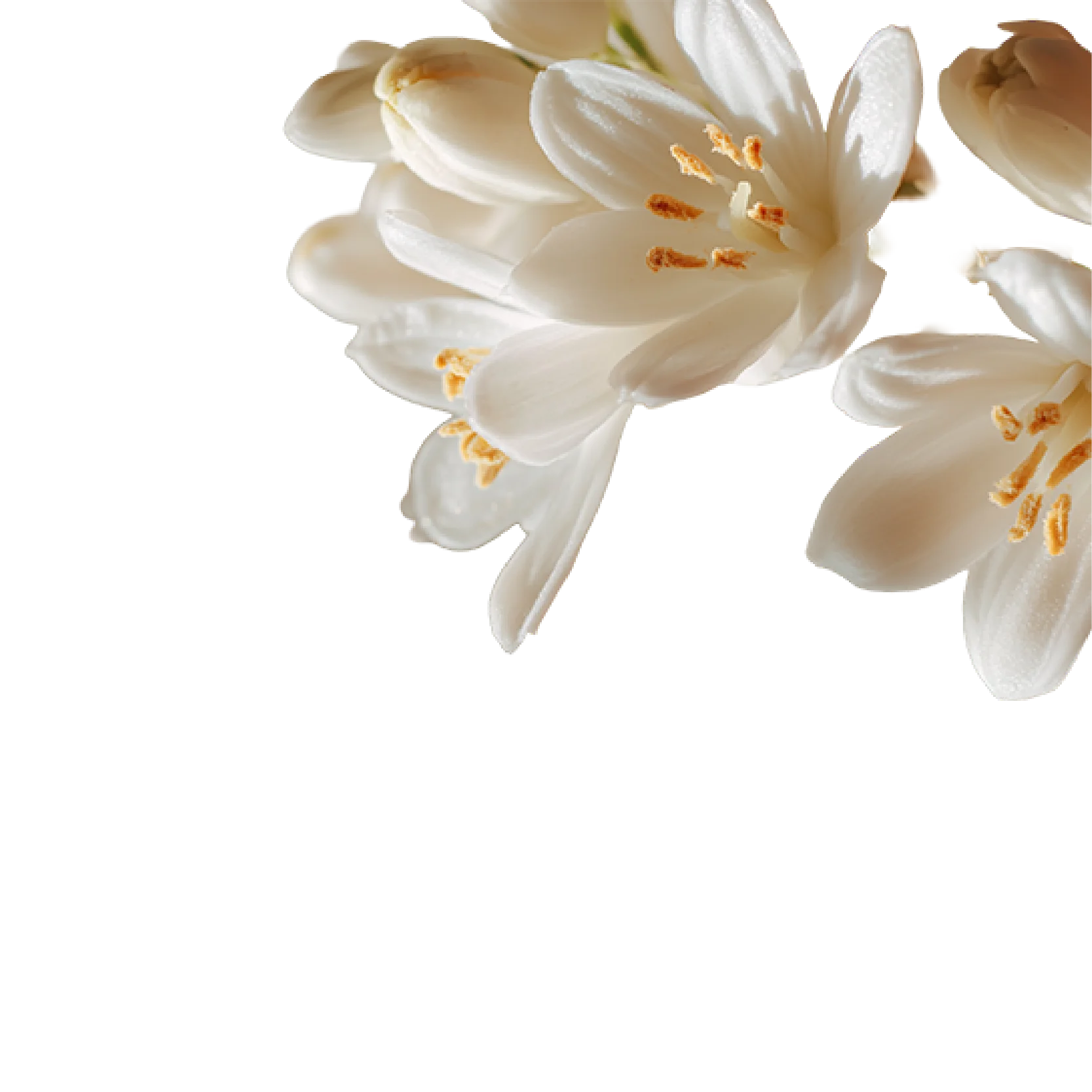 68% of Wedding Favors Never Make It Home. 100% of Personal Fragrances Do.