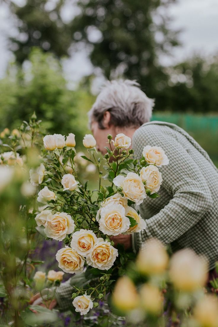 image of kitchen during service (for a fine dining restaurant)