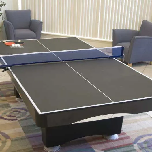 Olhausen Table Tennis Conversion Top