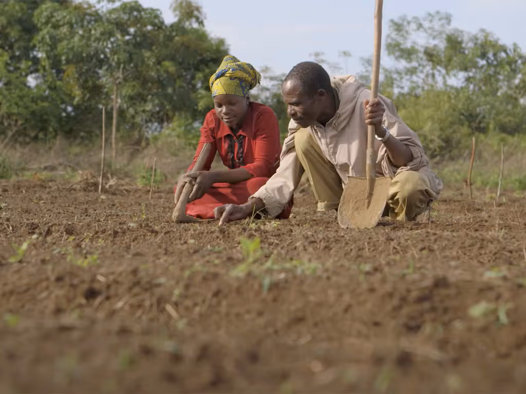 In a large dirt field, a man wearing a white shirt and tan pants holds a shovel as he leans over and helps a woman wearing a red dress who is using a wooden tool to dig. 