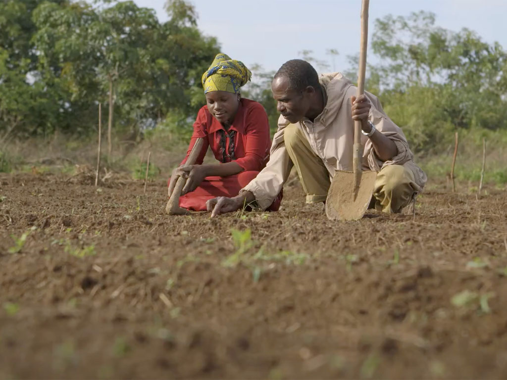 In a large dirt field, a man wearing a white shirt and tan pants holds a shovel as he leans over and helps a woman wearing a red dress who is using a wooden tool to dig. 
