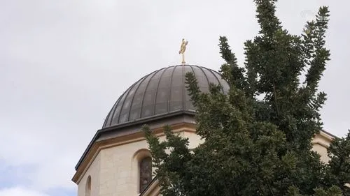 A background of branches and leaves with a definition of sumud overlaid