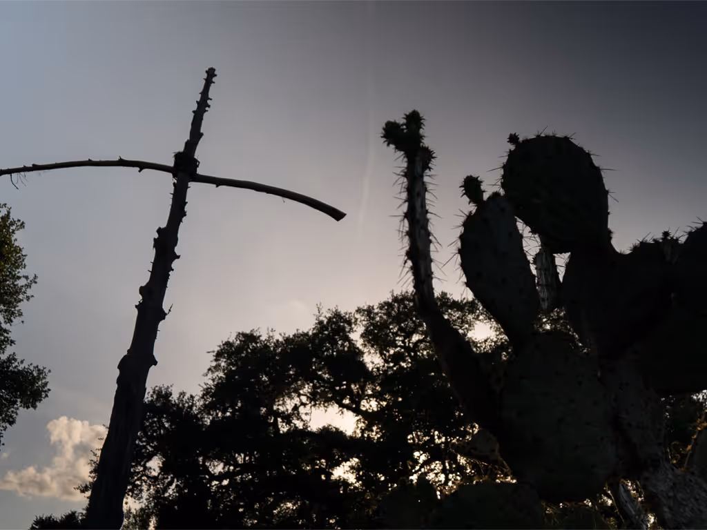 Wooden cross made from branches standing outdoors beside cactus plants