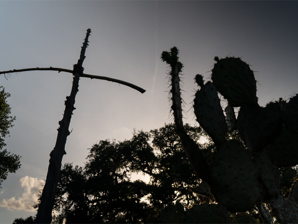 Wooden cross made from branches standing outdoors beside cactus plants