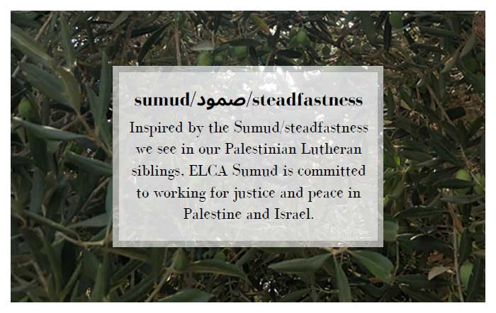 A background of branches and leaves with a definition of sumud overlaid